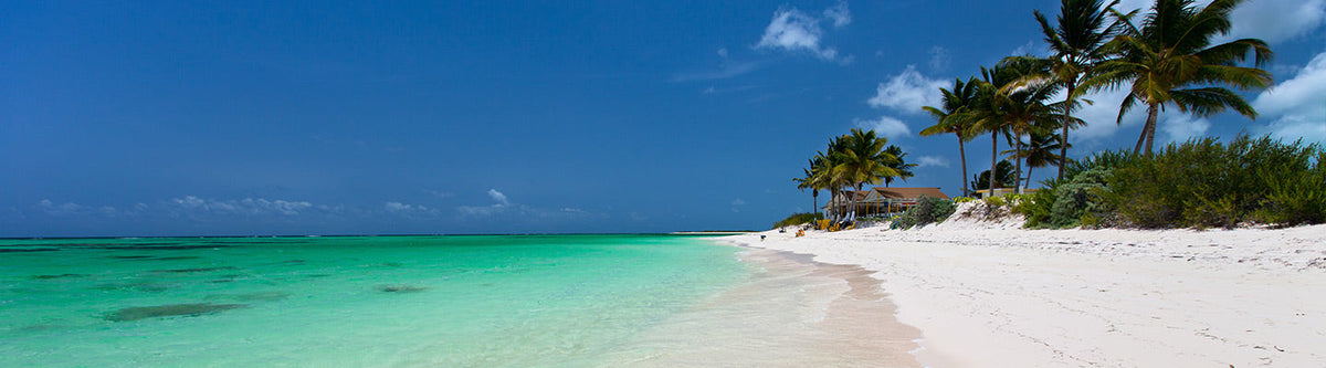 A Delicious Reason to Go to Anegada