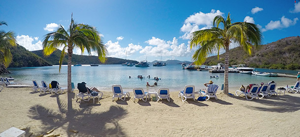 A row of beach chairs lined up by the water