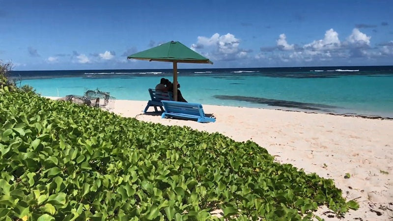 Picture-Perfect Island Experience