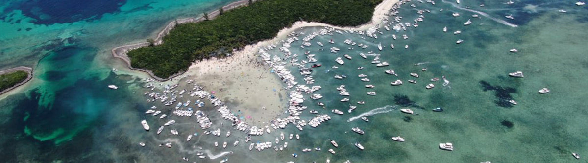 Cheeseburger in Paradise - Abaco Style!