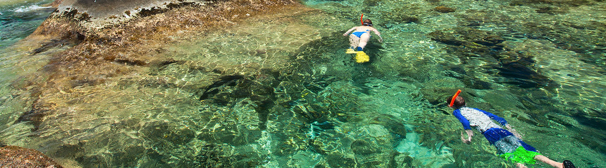 Five Favorite BVI Snorkel Spots
